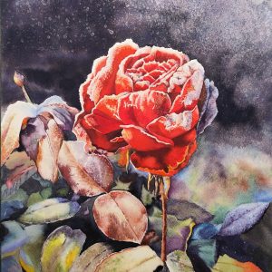 Watercolor painting of a vibrant red rose covered in delicate white frost crystals against a dark moody background.