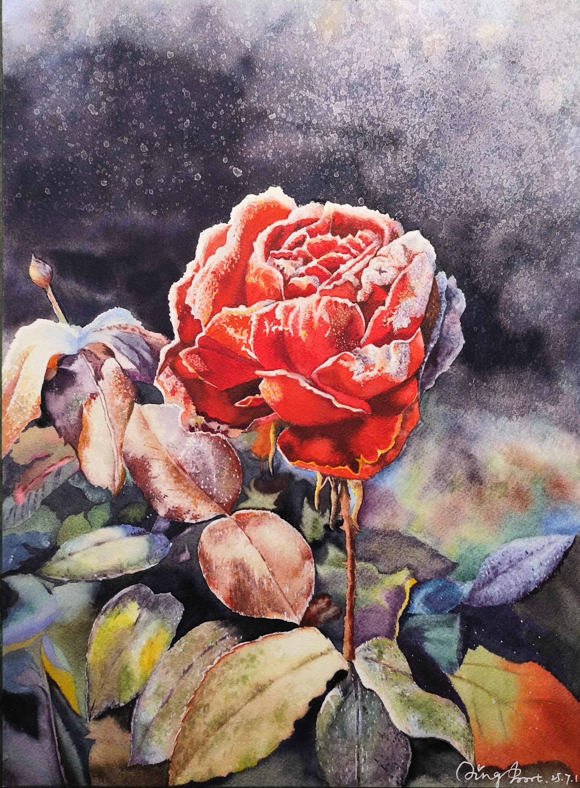 Watercolor painting of a vibrant red rose covered in delicate white frost crystals against a dark moody background.