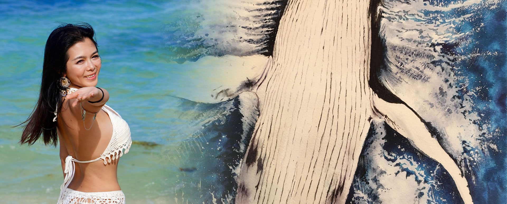 banner1_r1_c1