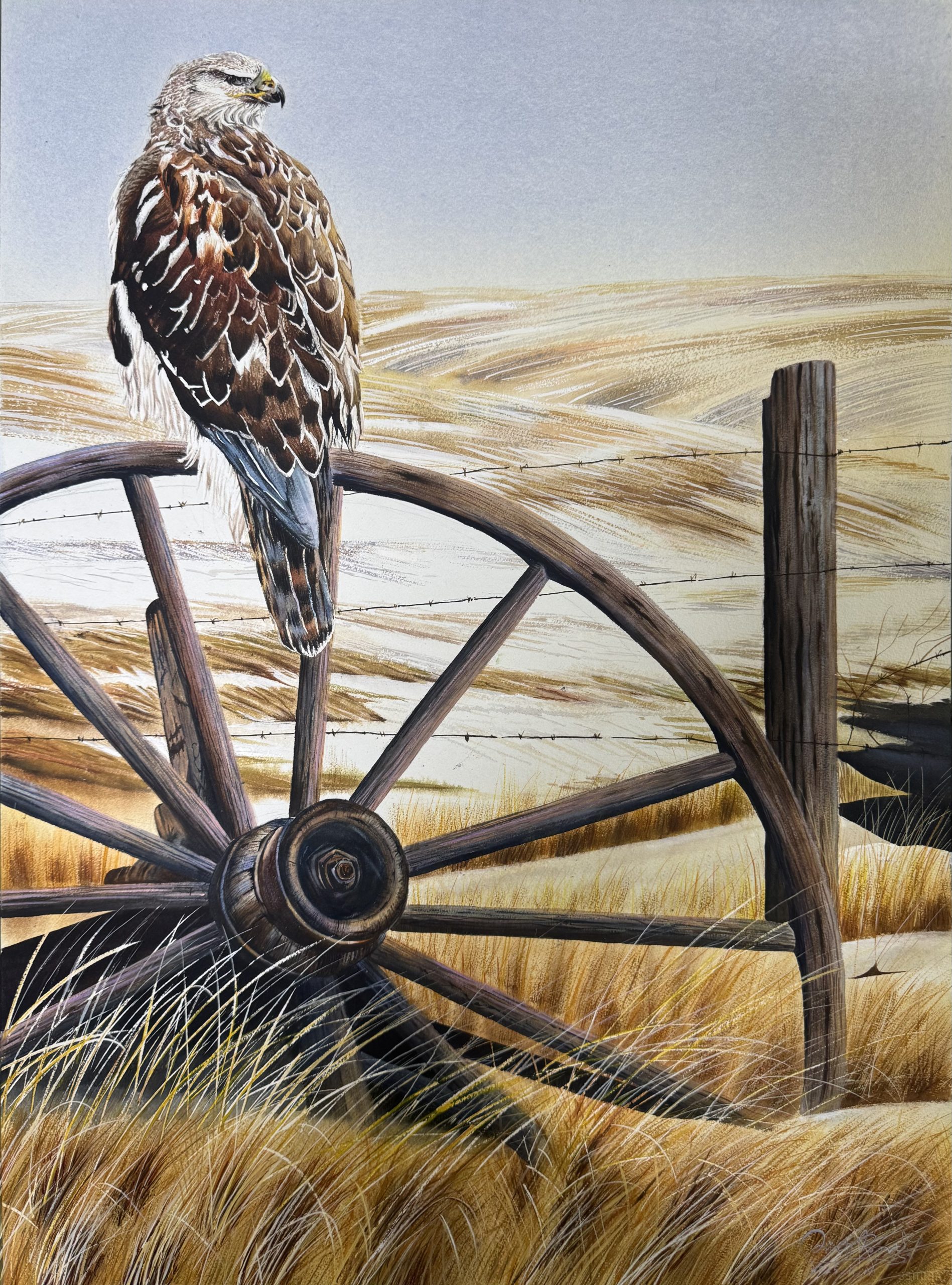 Original watercolor painting of a Red-tailed Hawk perched on a rustic wagon wheel in a golden prairie landscape, titled Guardian of the Prairie.
