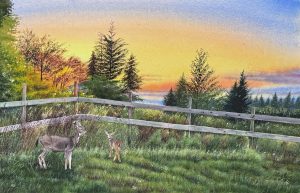 Watercolor landscape painting titled "Quiet Boundary" depicting two deer standing in a green field near a wooden fence with a colorful sunset and pine trees in the background.