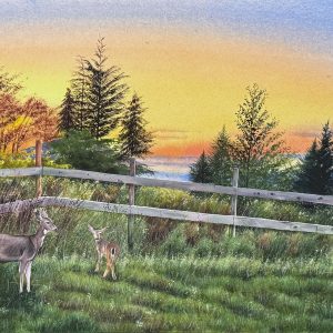 Original watercolor painting of a mother deer and fawn standing in a grassy field at sunset on Bowen Island, titled Bowen Island Golden Hour. Warm golden hour lighting with rustic fence. Selected for FCA 2026 Scenes from Canada Exhibition.