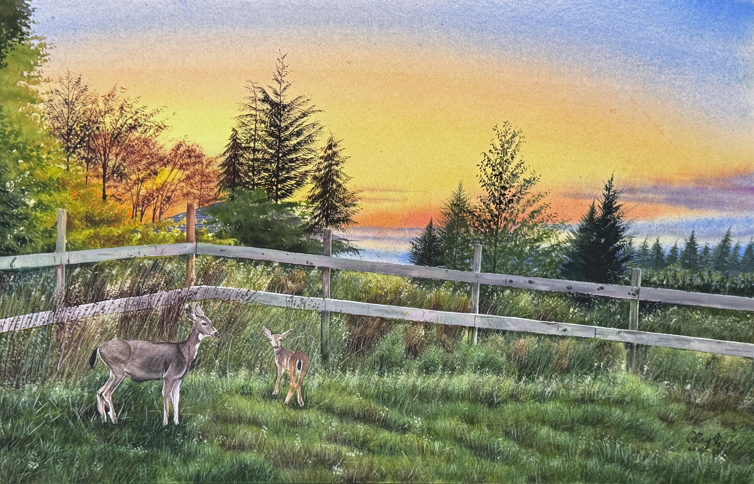 Original watercolor painting of a mother deer and fawn standing in a grassy field at sunset on Bowen Island, titled Bowen Island Golden Hour. Warm golden hour lighting with rustic fence. Selected for FCA 2026 Scenes from Canada Exhibition.