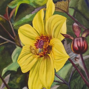 Golden Harvest by QingQing. Watercolor painting of a bee on a yellow flower. Selected for 2026 FCA Exhibiting Member Exhibition.