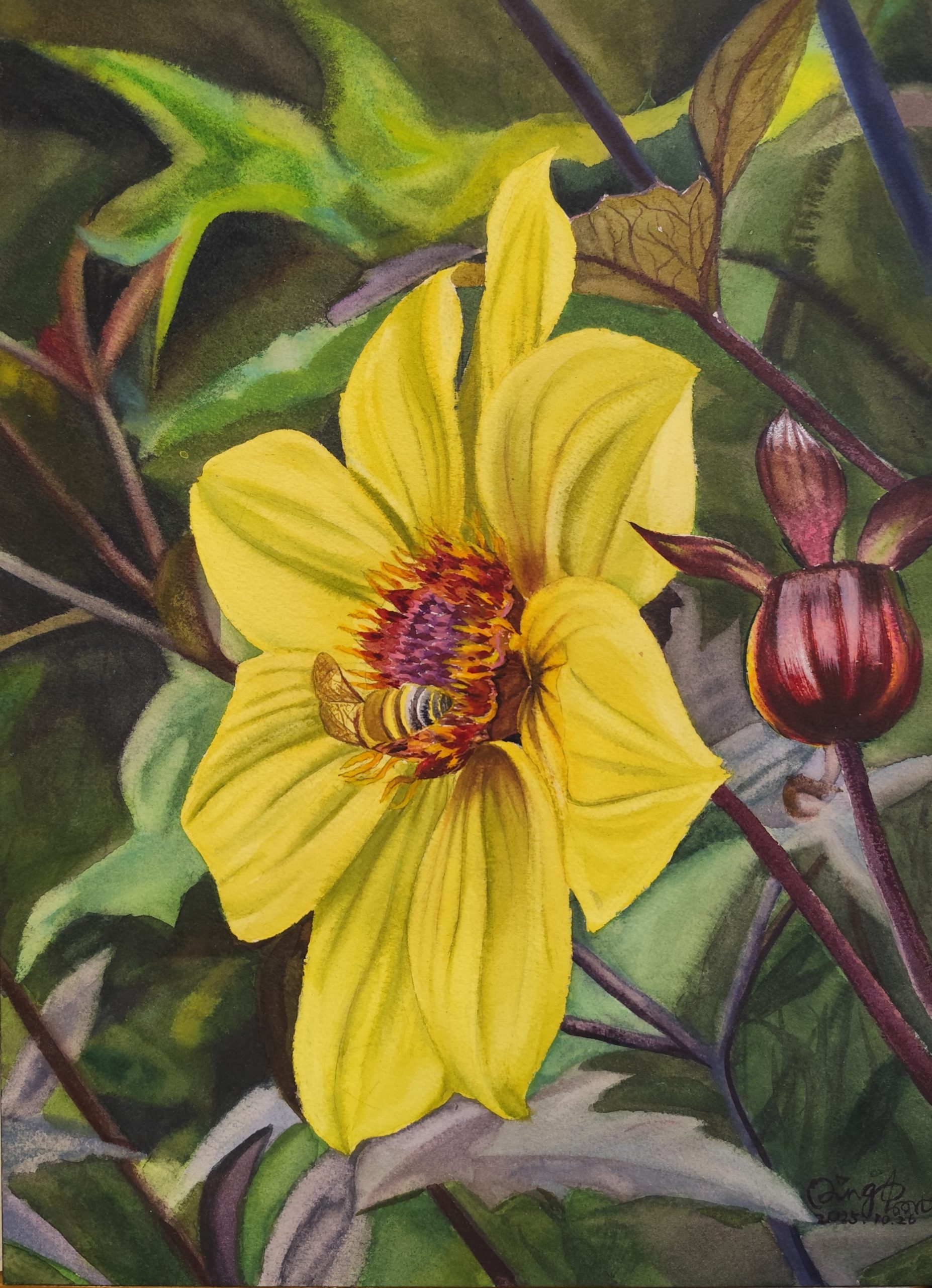 Golden Harvest by QingQing. Watercolor painting of a bee on a yellow flower. Selected for 2026 FCA Exhibiting Member Exhibition.