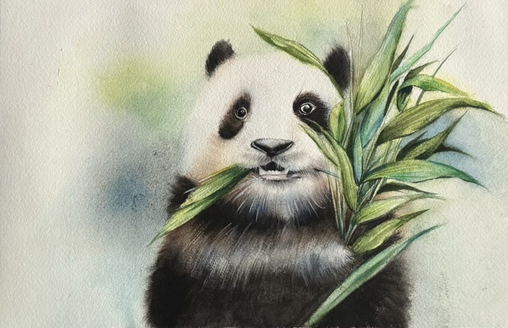 Highly detailed and realistic watercolor painting of a giant panda eating bamboo leaves, titled "Fading Emerald" by Yanqing Huang.
