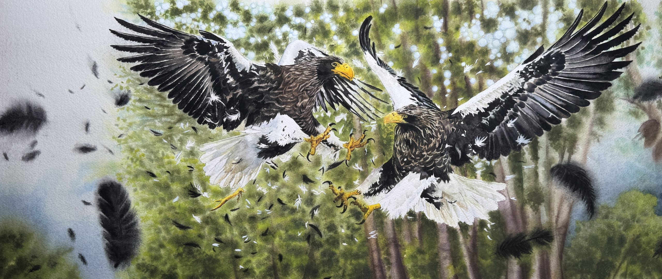 Dynamic watercolor painting of two eagles fighting in mid-air with flying feathers, panoramic wildlife art by QingQing