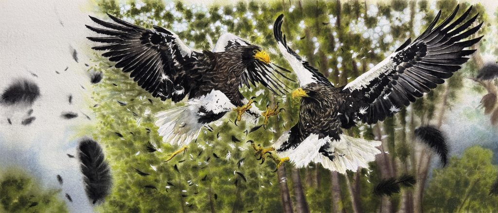 Realistic watercolor painting of two eagles fiercely clashing in mid-air with feathers drifting in the wind, titled "Aerial Power and Grace" by Yanqing Huang.