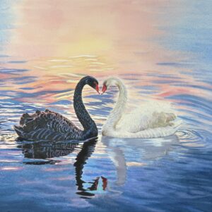A romantic watercolor painting of a black swan and a white swan facing each other, their necks forming a heart shape on a shimmering sunset lake.